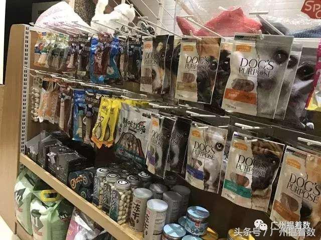 铲屎官的心灵港湾主子们的SPA天堂！